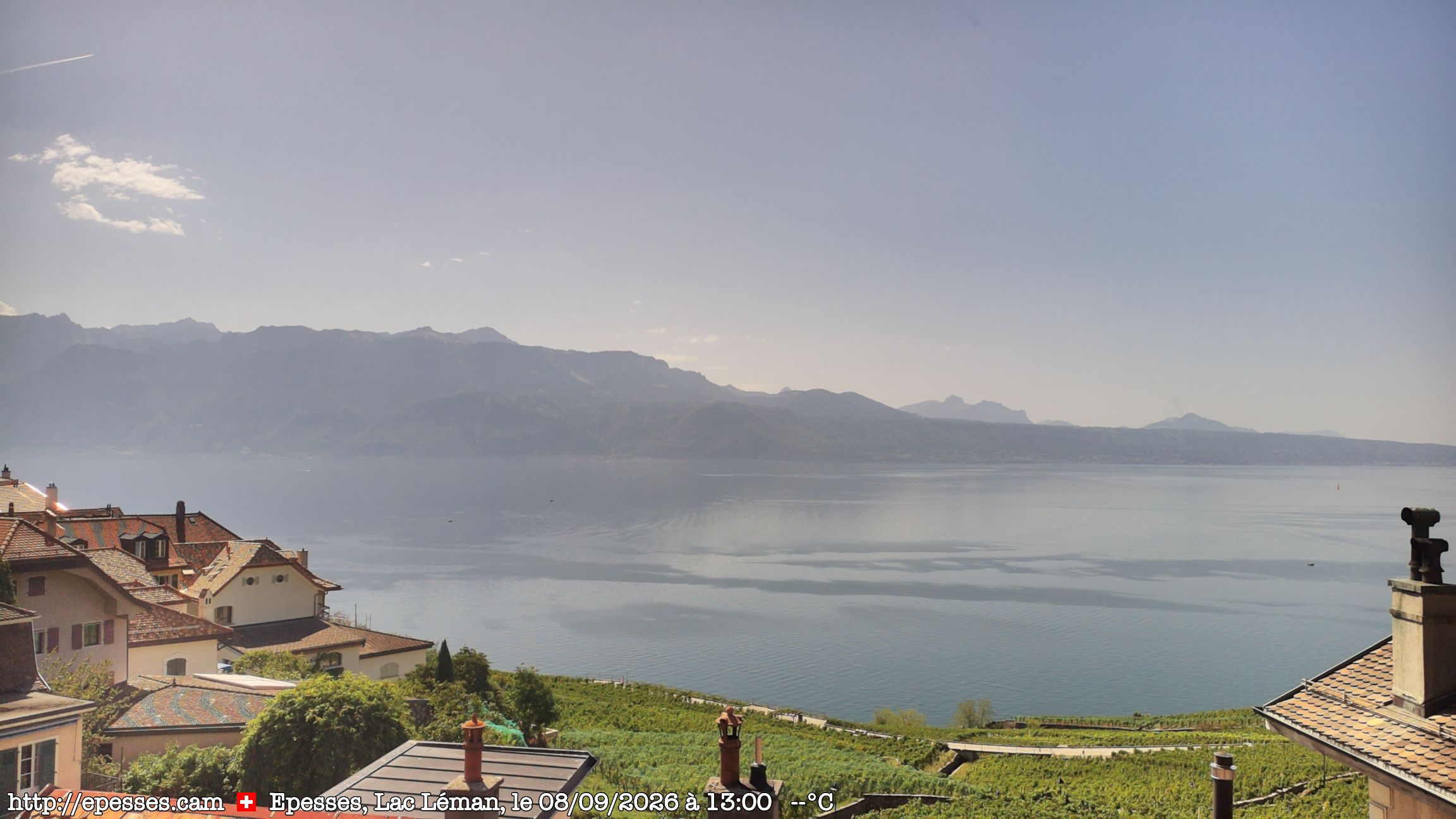 Bourg-en-Lavaux › Süden: Lake Geneva