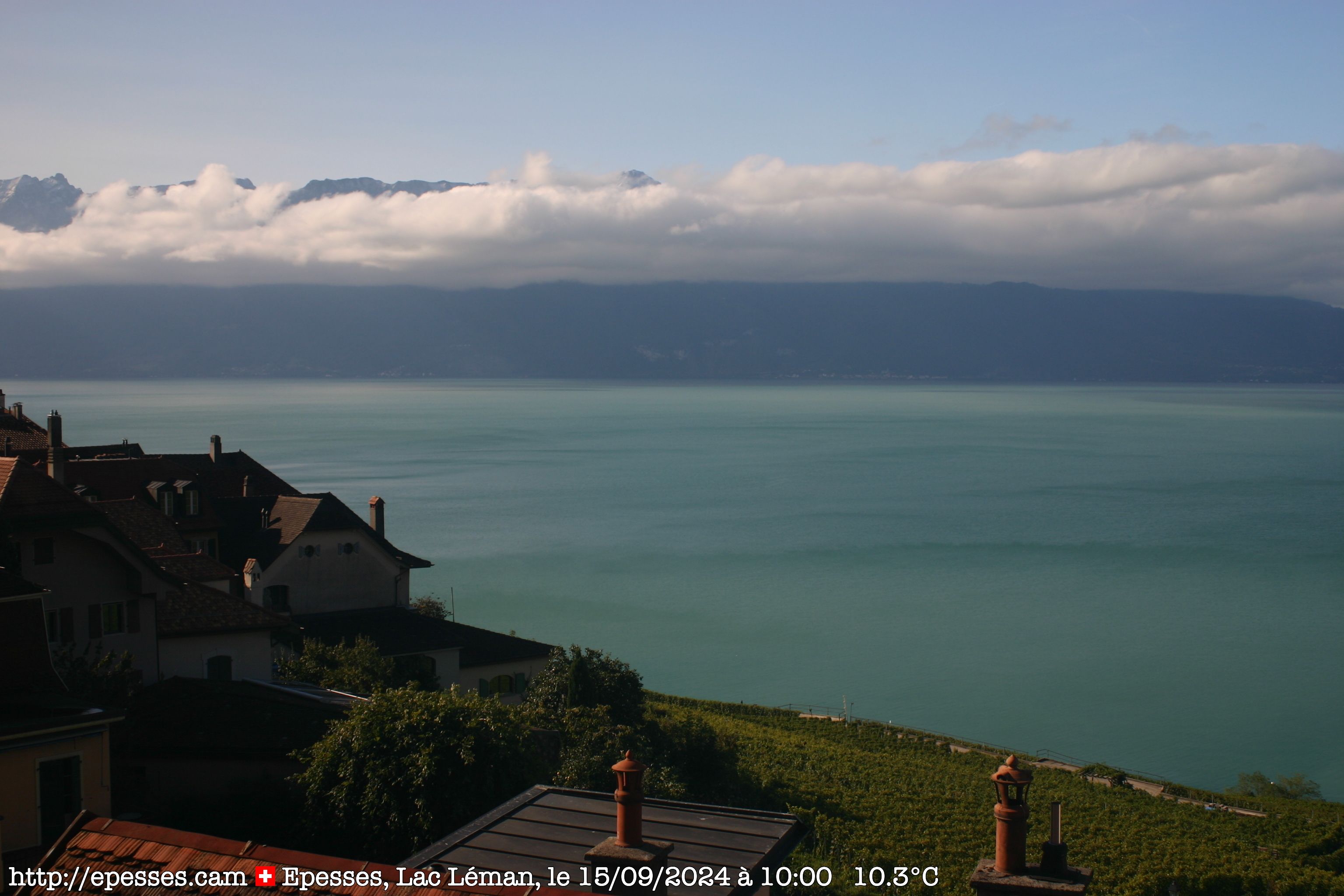 Bourg-en-Lavaux: Epesses