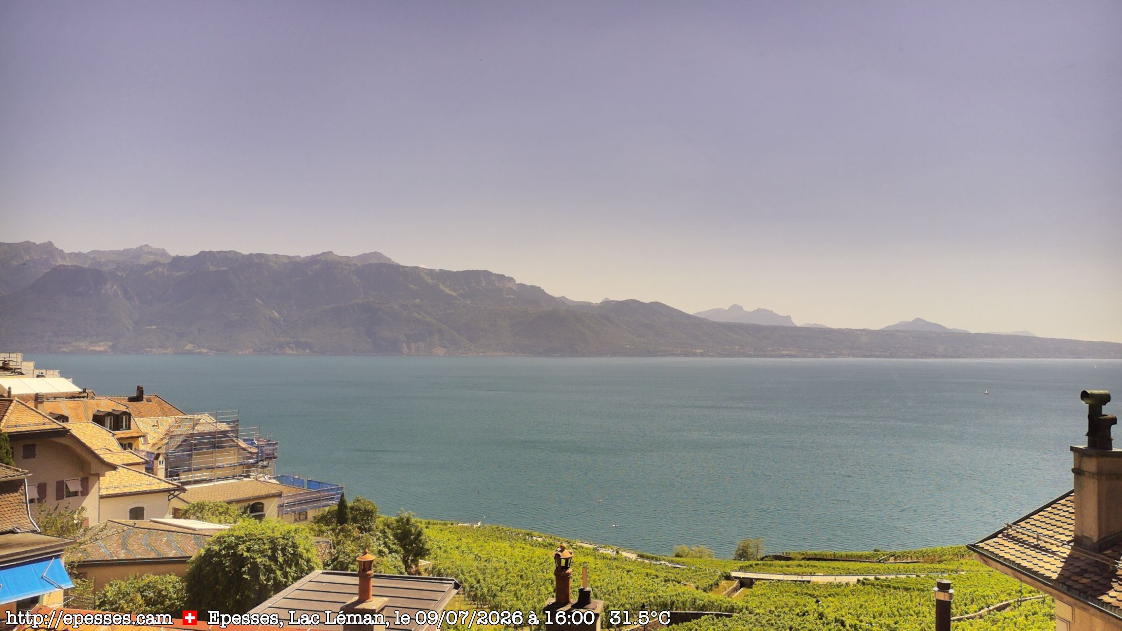 Bourg-en-Lavaux › Süden: Lake Geneva