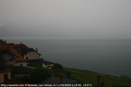 Bourg-en-Lavaux: Epesses