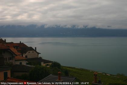 Bourg-en-Lavaux: Epesses