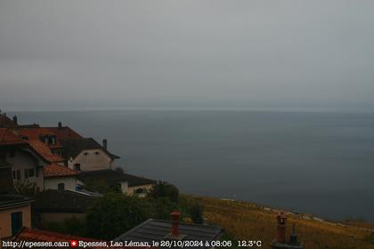 Bourg-en-Lavaux: Epesses