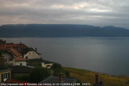 Bourg-en-Lavaux: Epesses