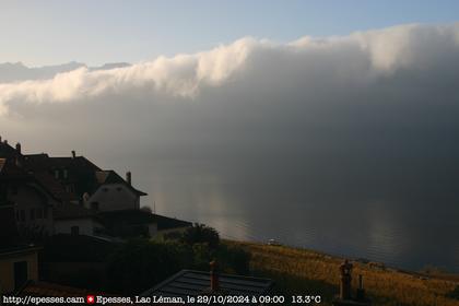 Bourg-en-Lavaux: Epesses