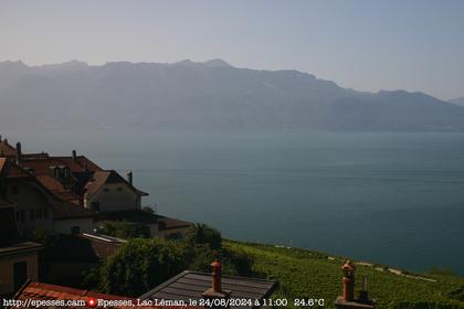 Bourg-en-Lavaux: Epesses