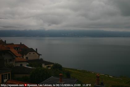 Bourg-en-Lavaux: Epesses