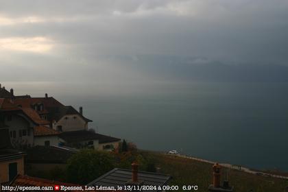 Bourg-en-Lavaux: Epesses