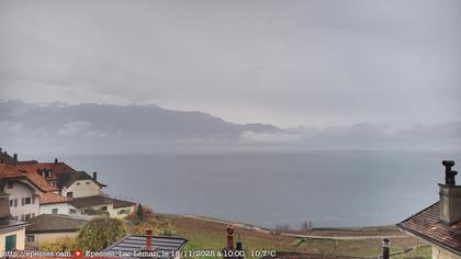 Bourg-en-Lavaux: Epesses