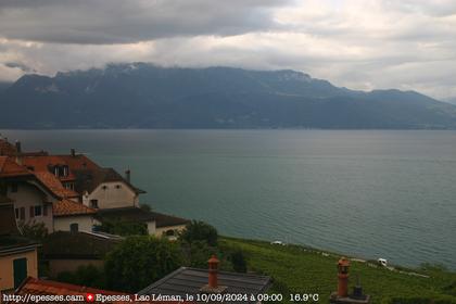 Bourg-en-Lavaux: Epesses