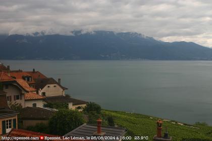 Bourg-en-Lavaux: Epesses