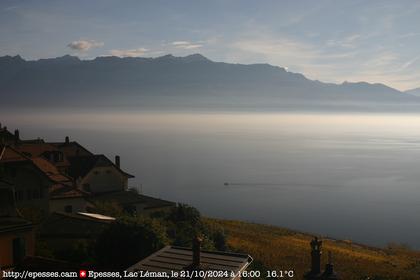 Bourg-en-Lavaux: Epesses