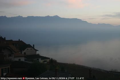 Bourg-en-Lavaux: Epesses