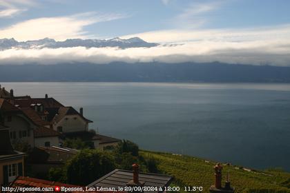 Bourg-en-Lavaux: Epesses