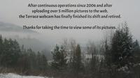 Terrace: Gold Mine Cam