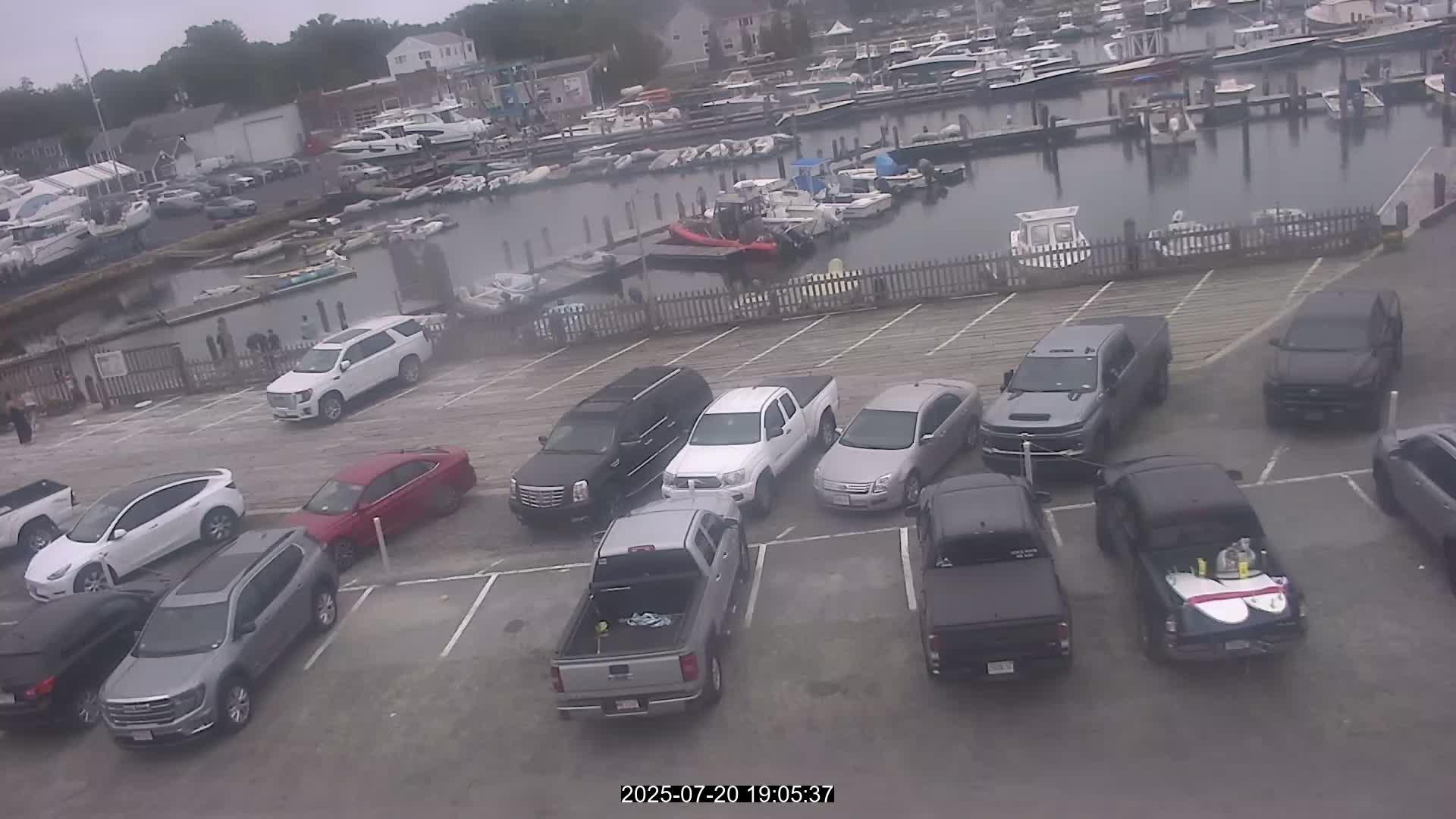 Dartmouth Harbour: Enchanting Landscape Views Webcam