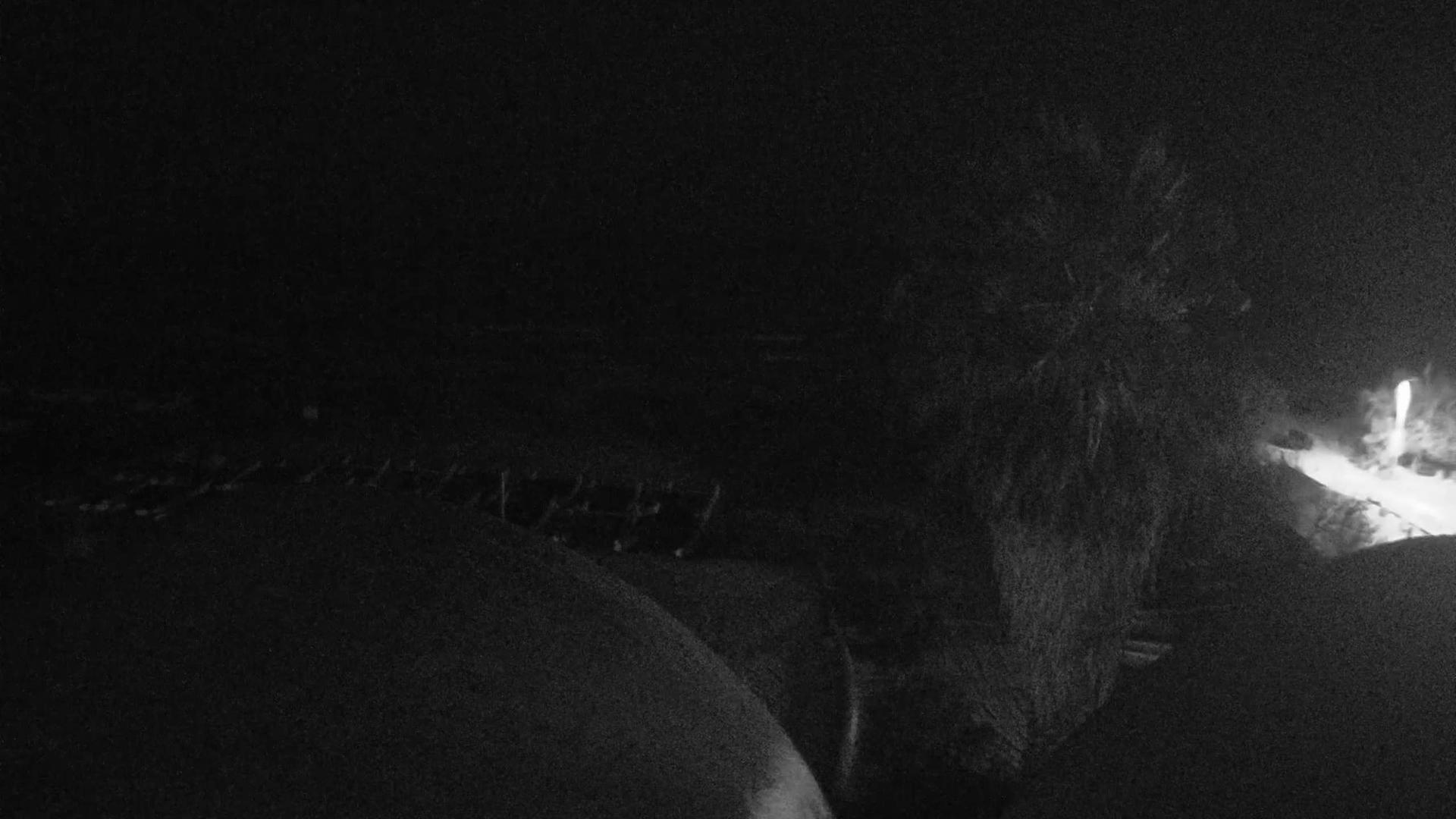 Hyeres: la bergerie: vue mer