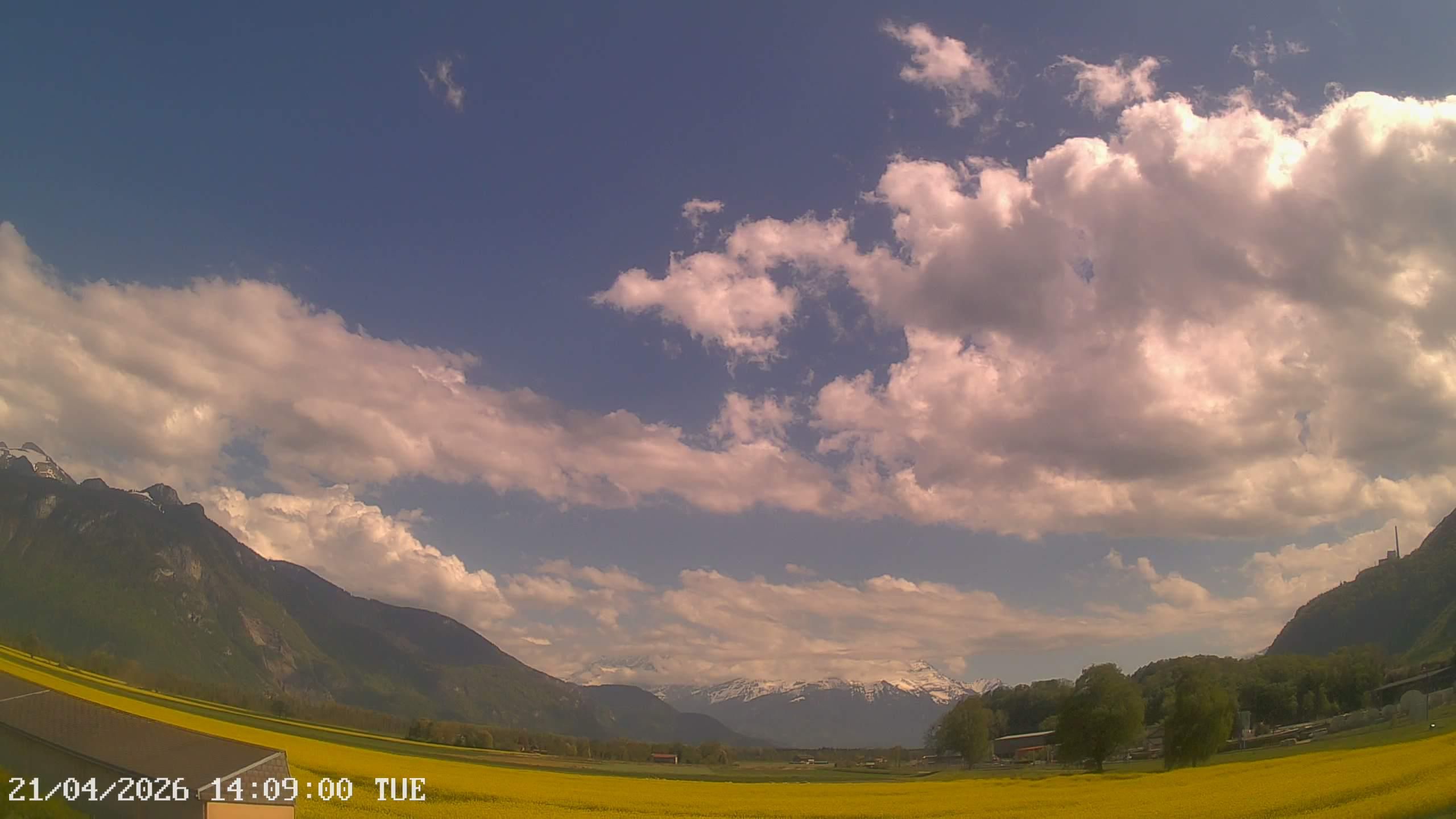 Port-Valais › Südosten: La Petite Camargue