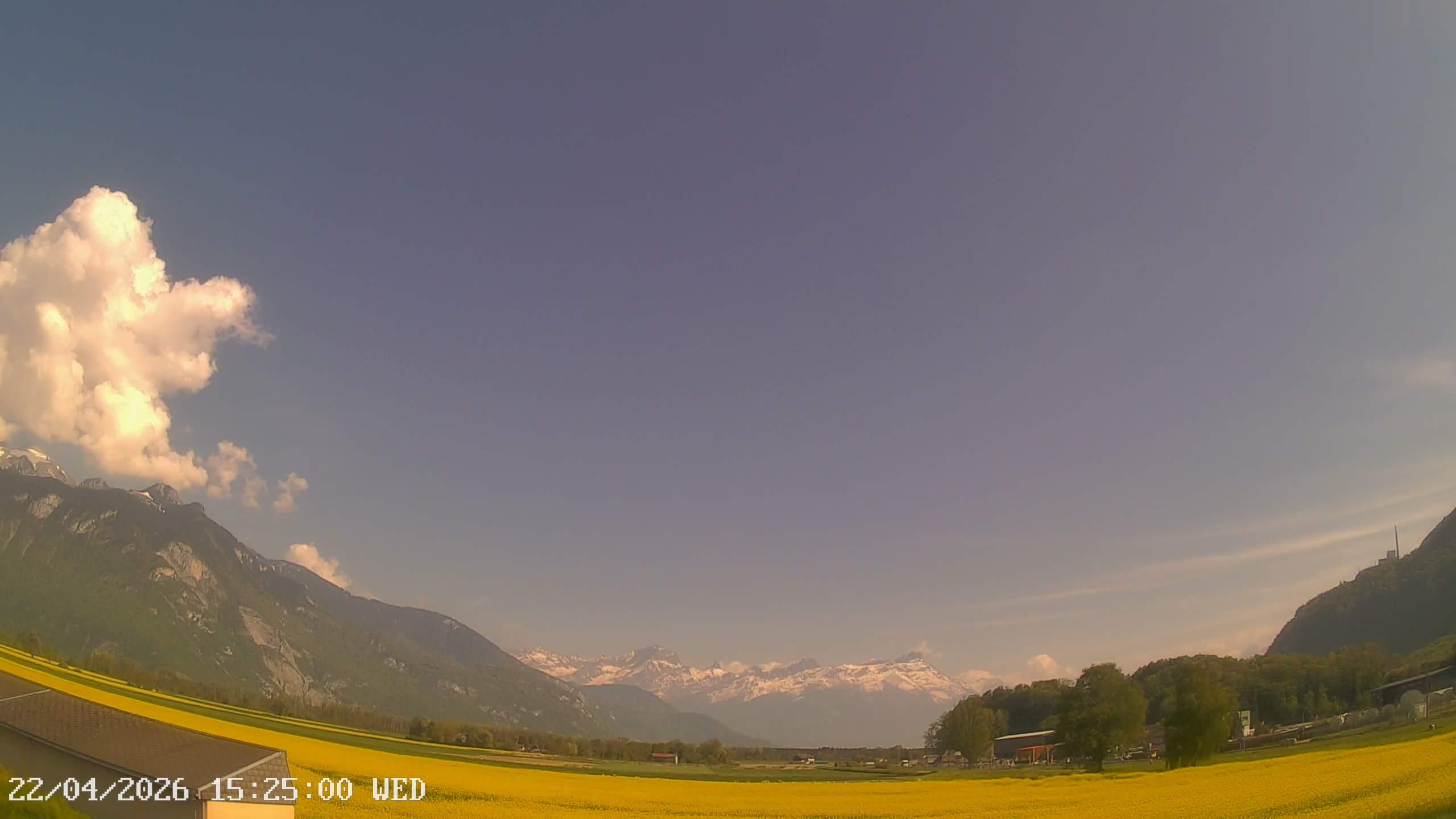 Port-Valais › Südosten: La Petite Camargue
