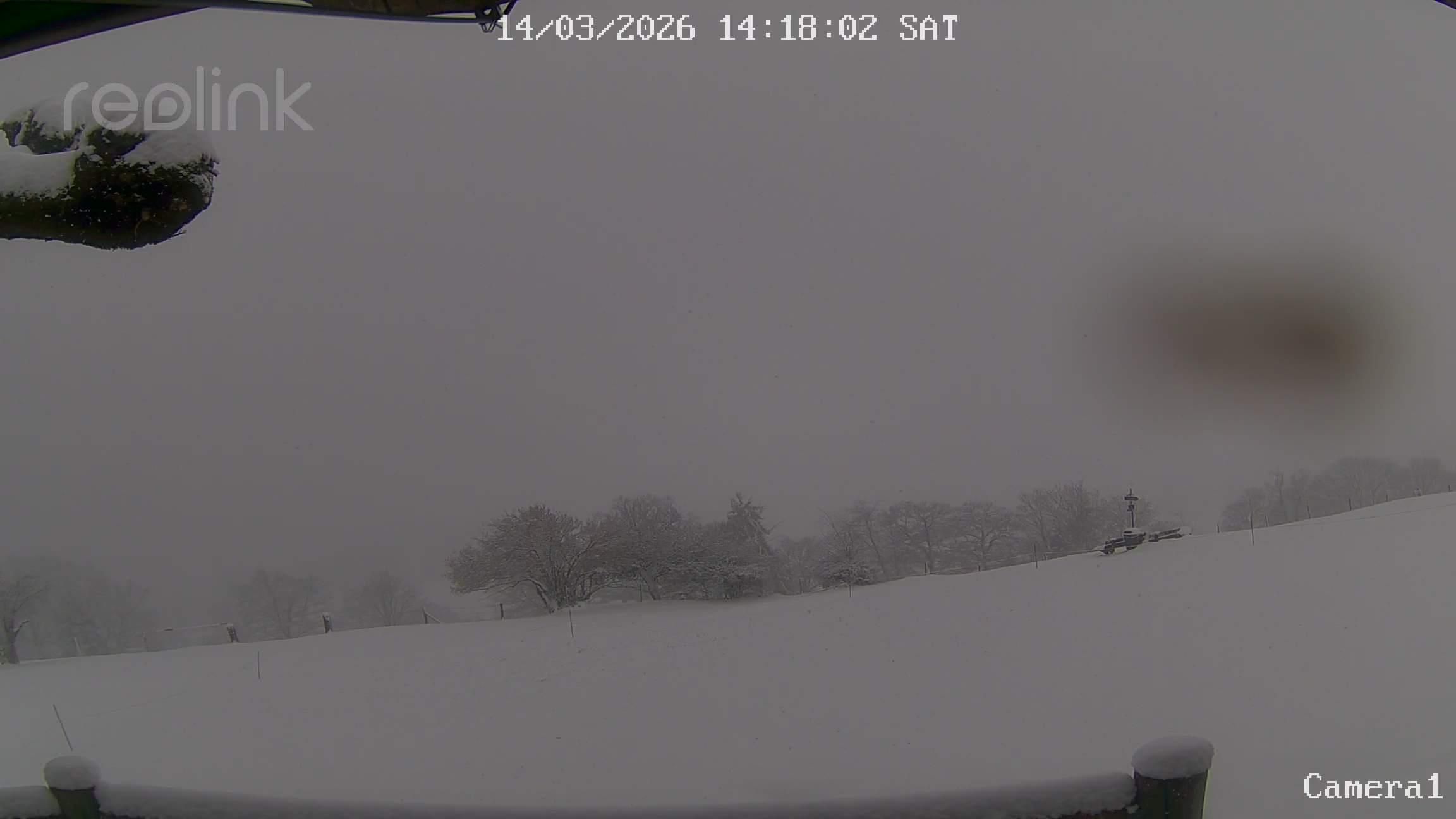 Aeschi bei Spiez: Aeschiried