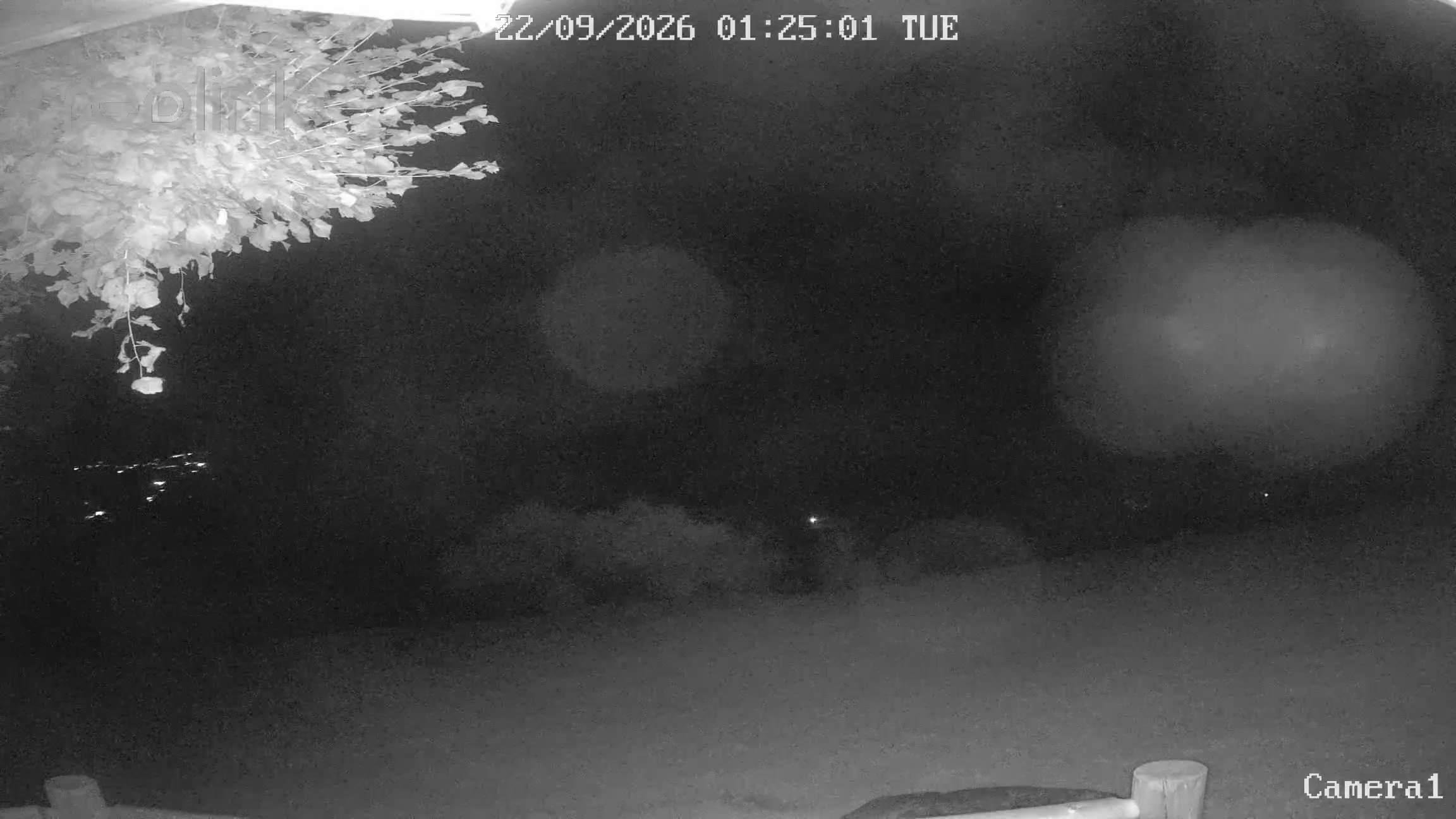 Aeschi bei Spiez: Aeschiried