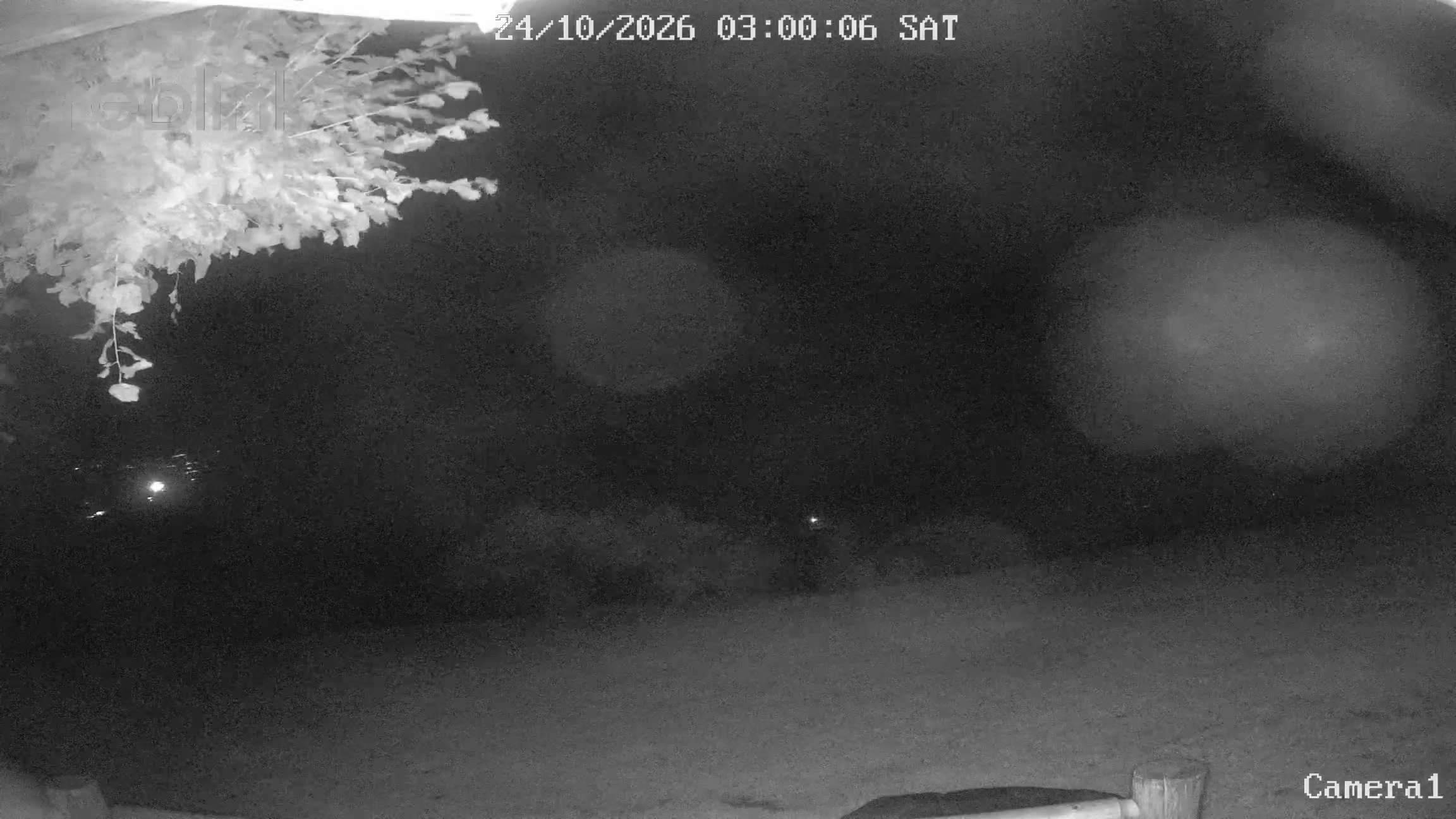 Aeschi bei Spiez: Aeschiried