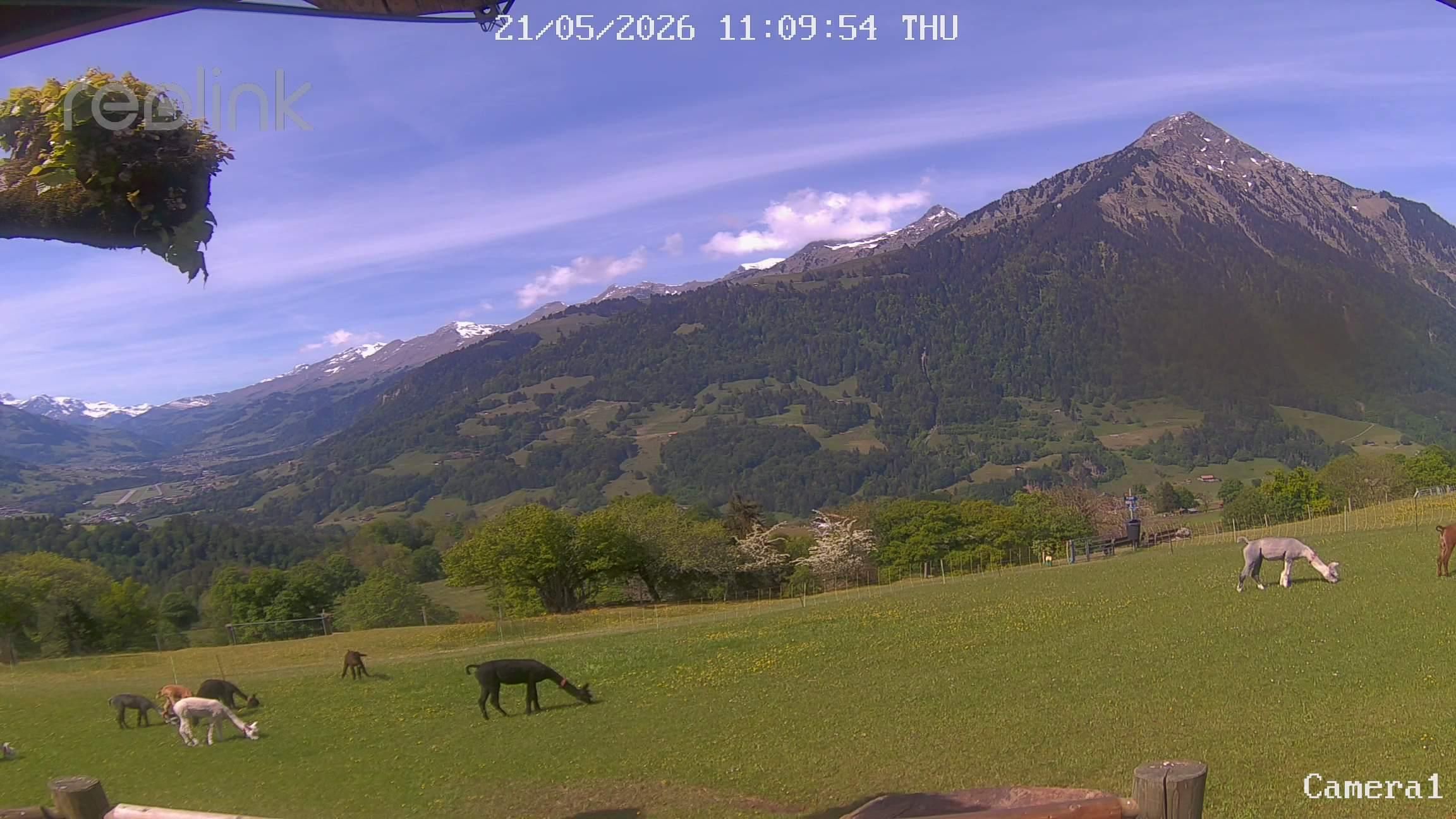 Aeschi bei Spiez: Aeschiried