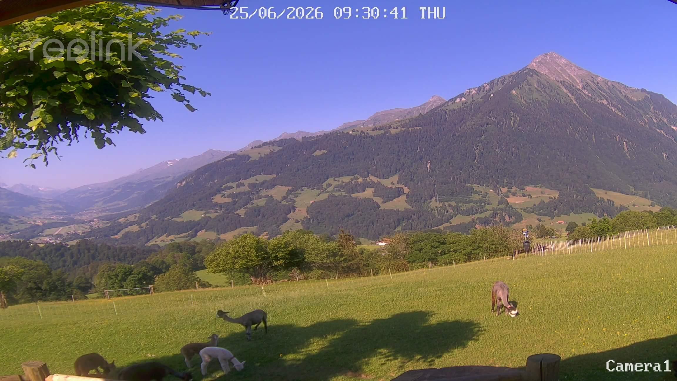 Aeschi bei Spiez: Aeschiried