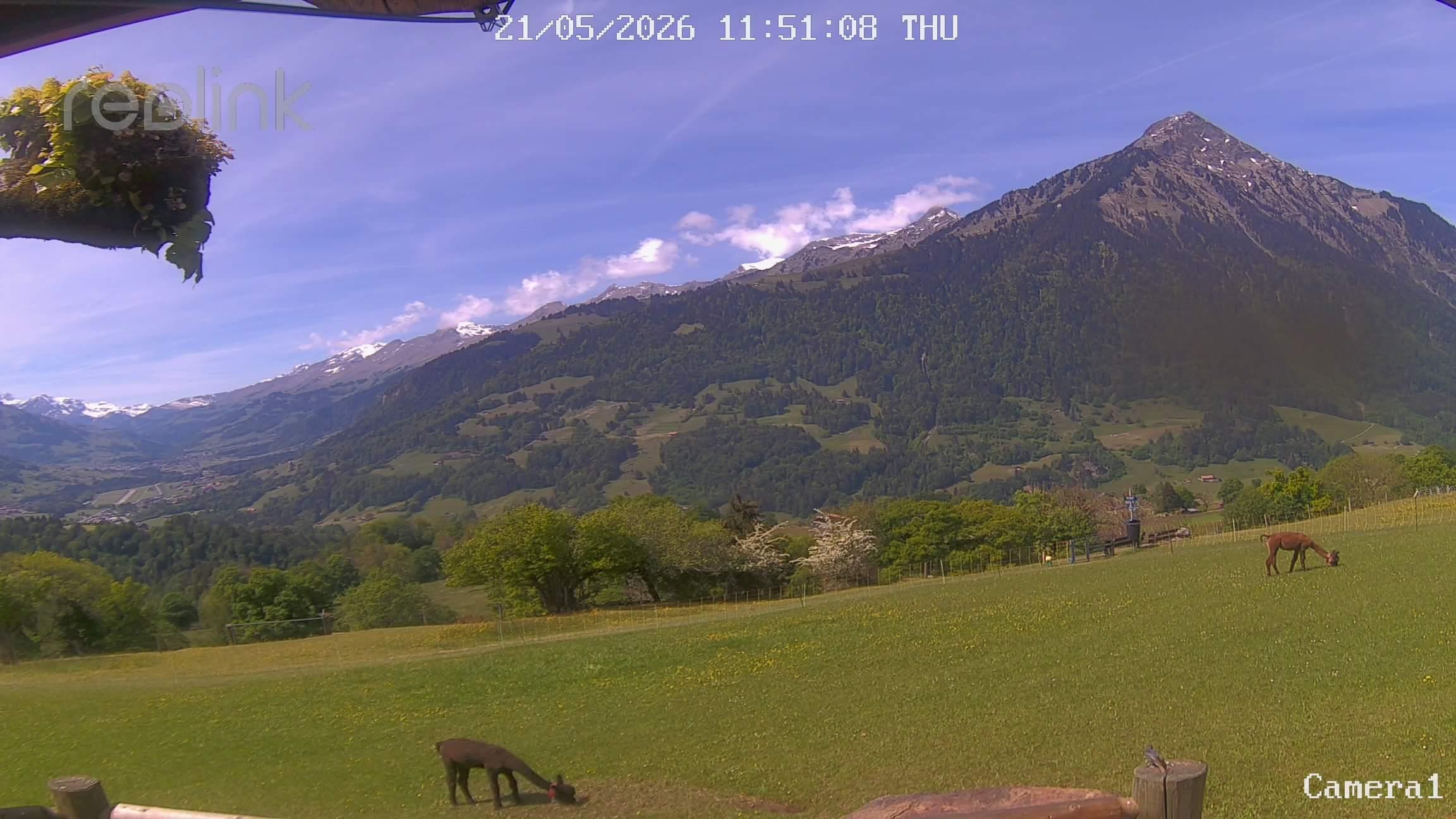 Aeschi bei Spiez: Aeschiried