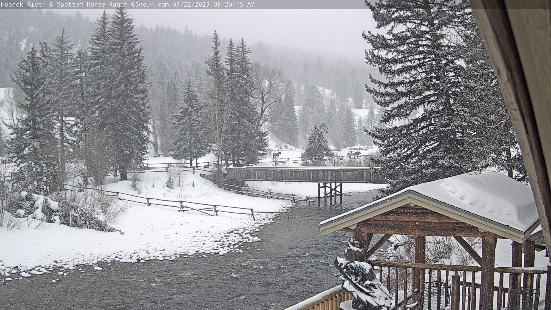 Jackson: Spotted Horse Ranch on Hoback River