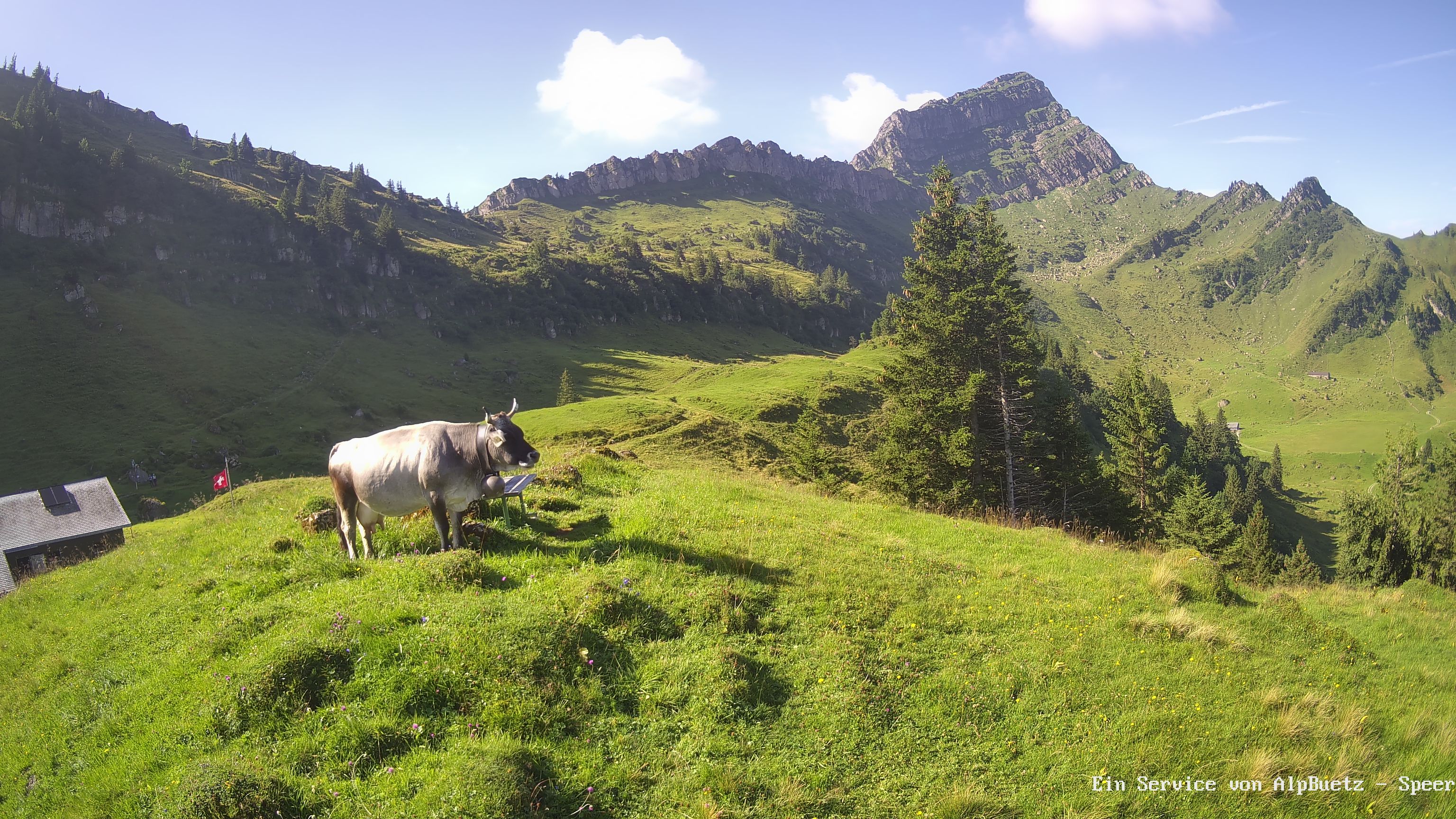 Ebnat-Kappel › Süd-West