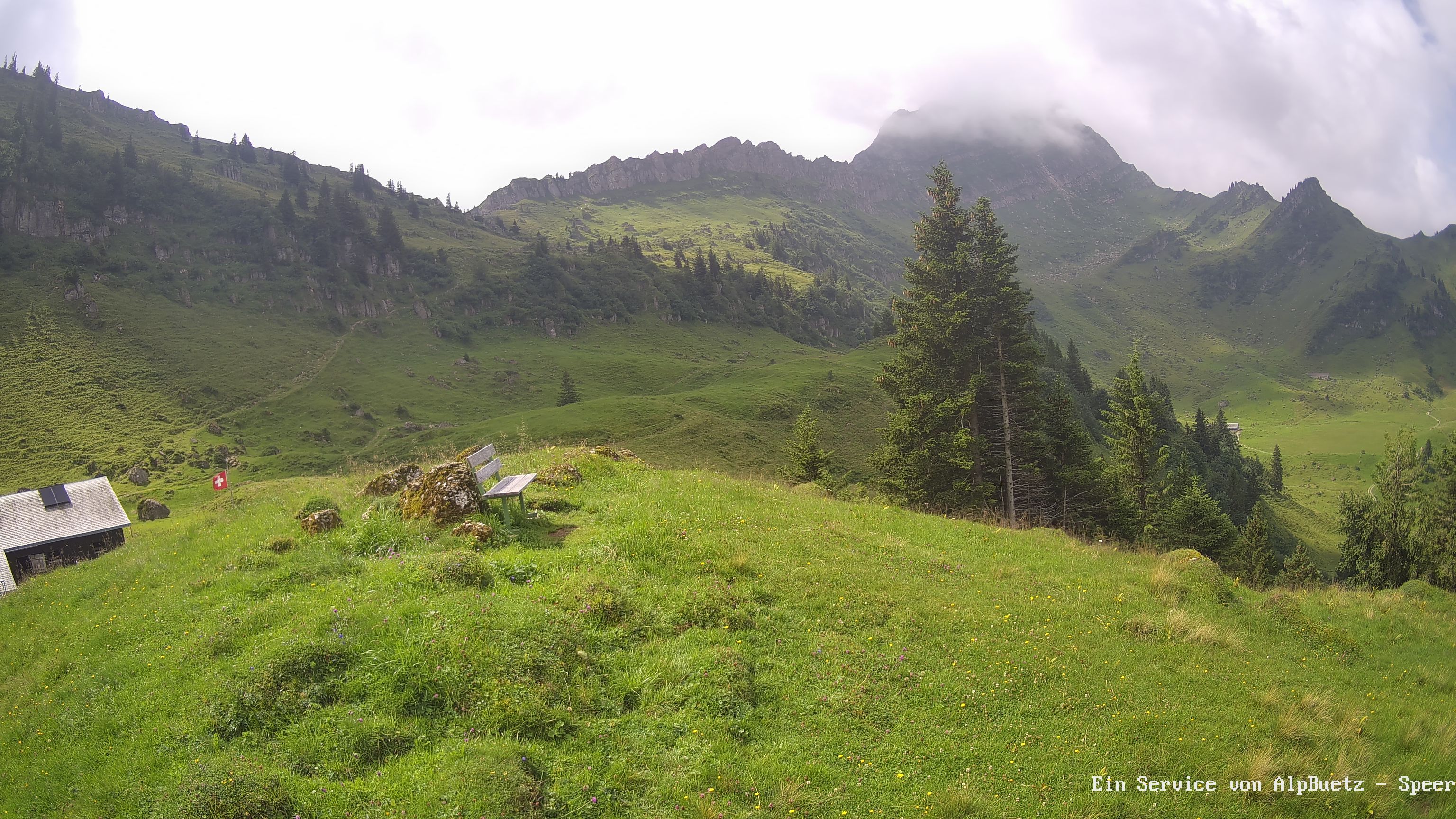 Ebnat-Kappel › Süd-West