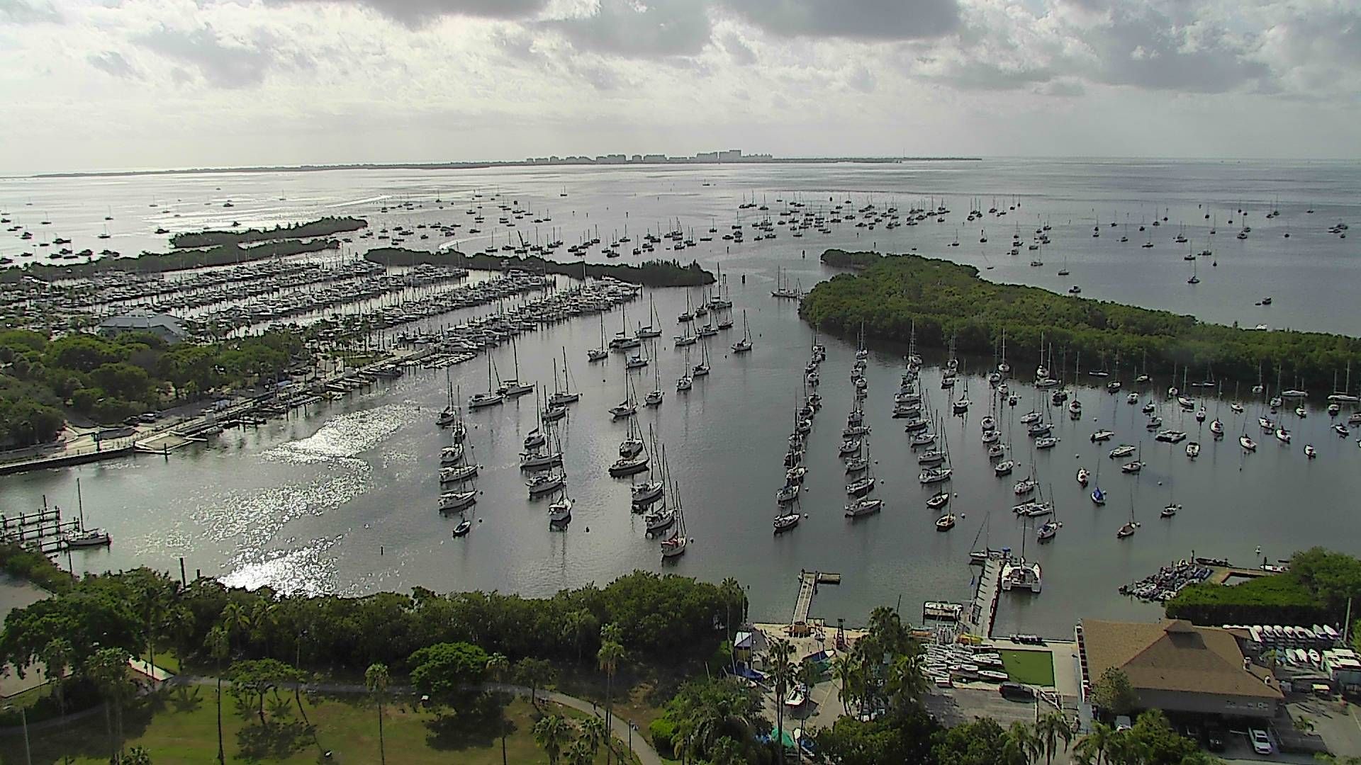 Traffic Cam Miami: Coconut Grove