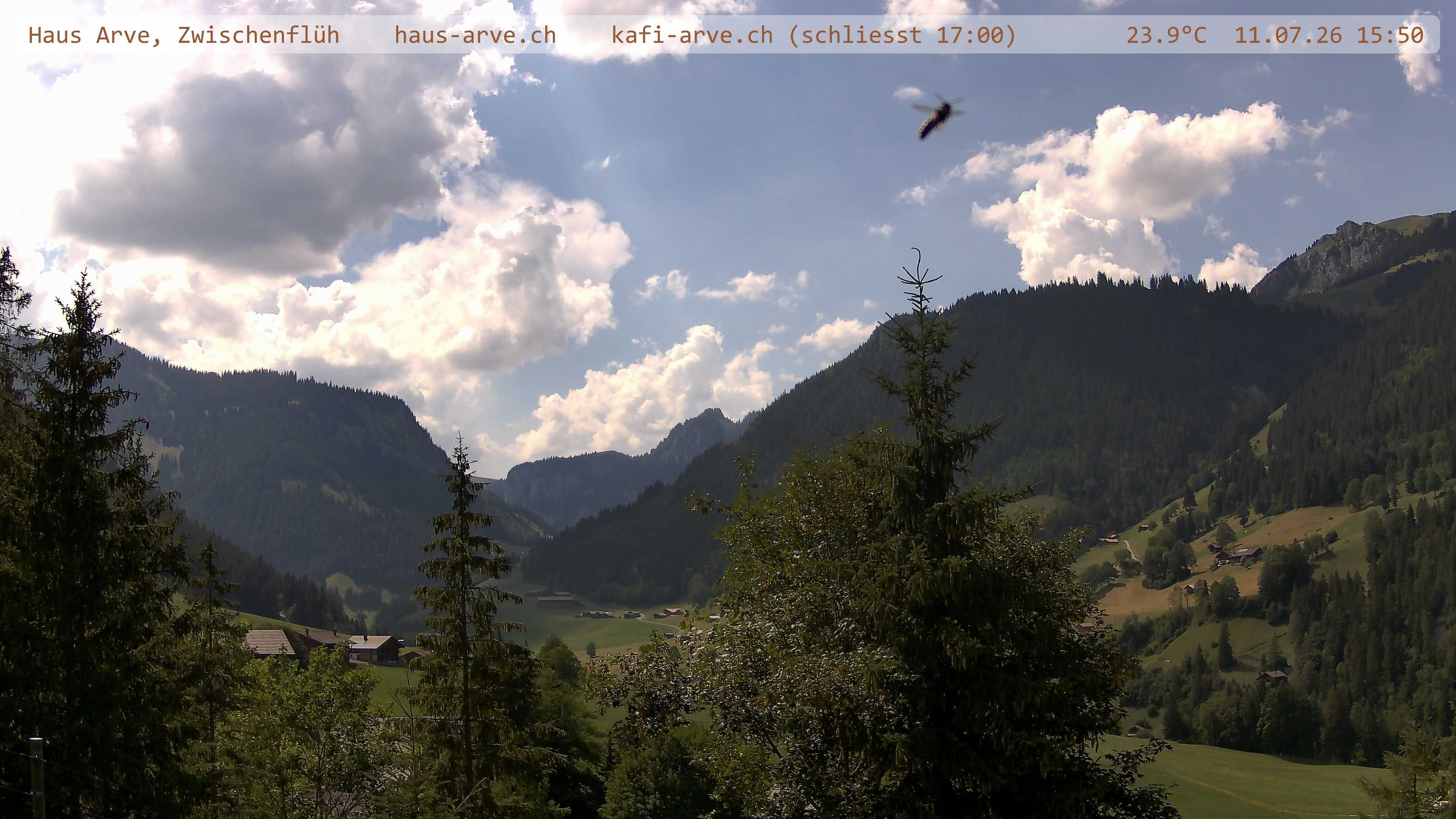 Diemtigen › Westen: Haus Arve