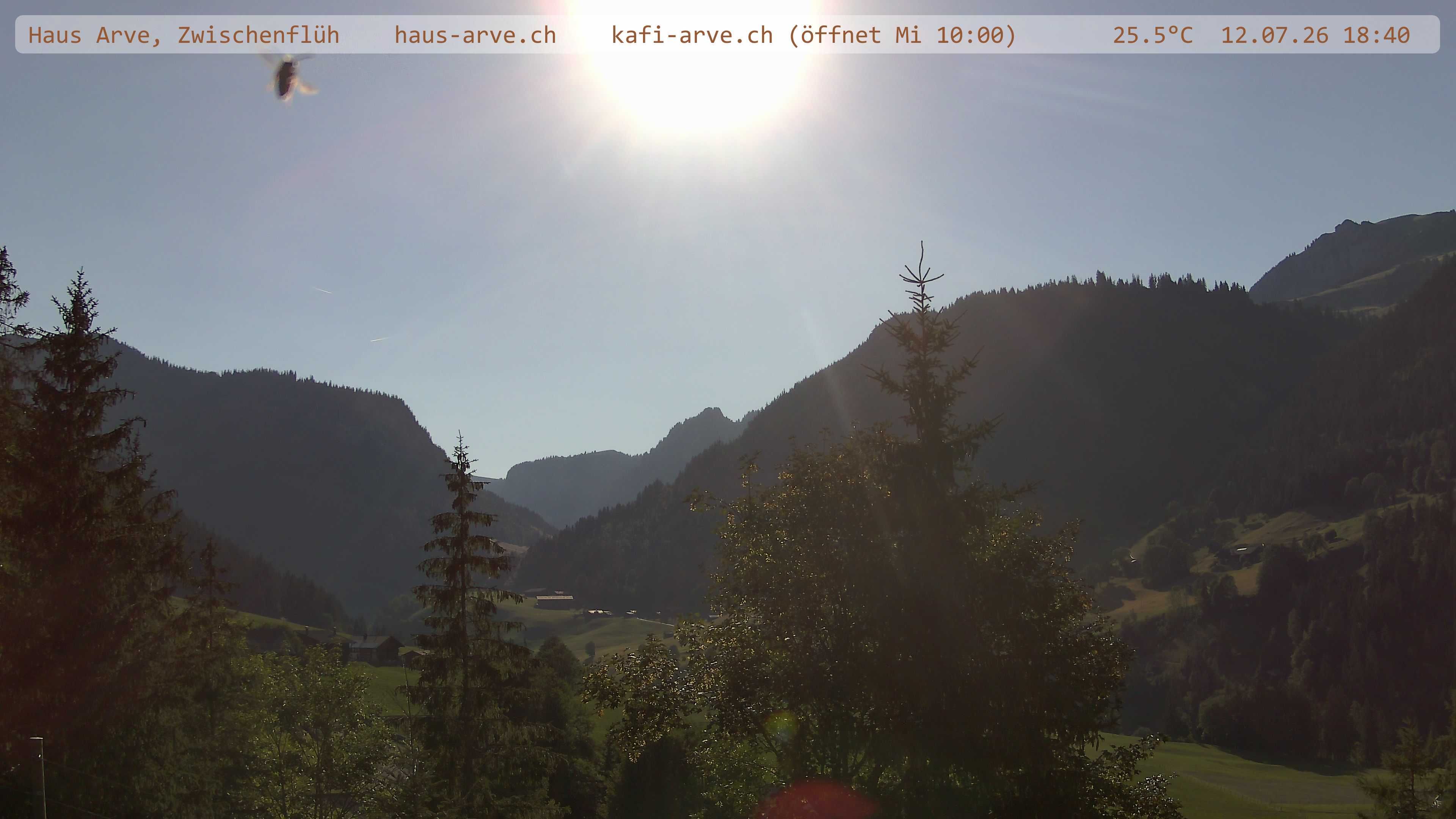 Diemtigen › Westen: Haus Arve