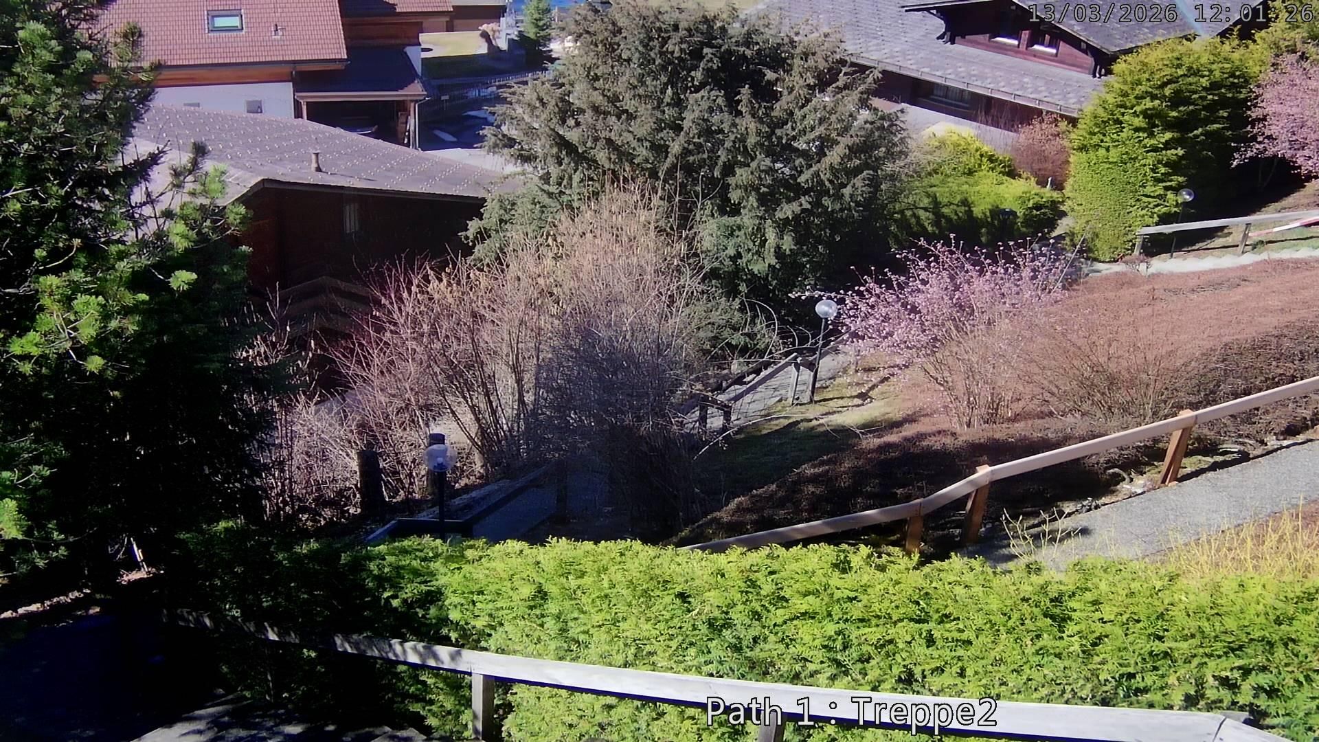 Lenk: i. S. Blick auf Betelberg