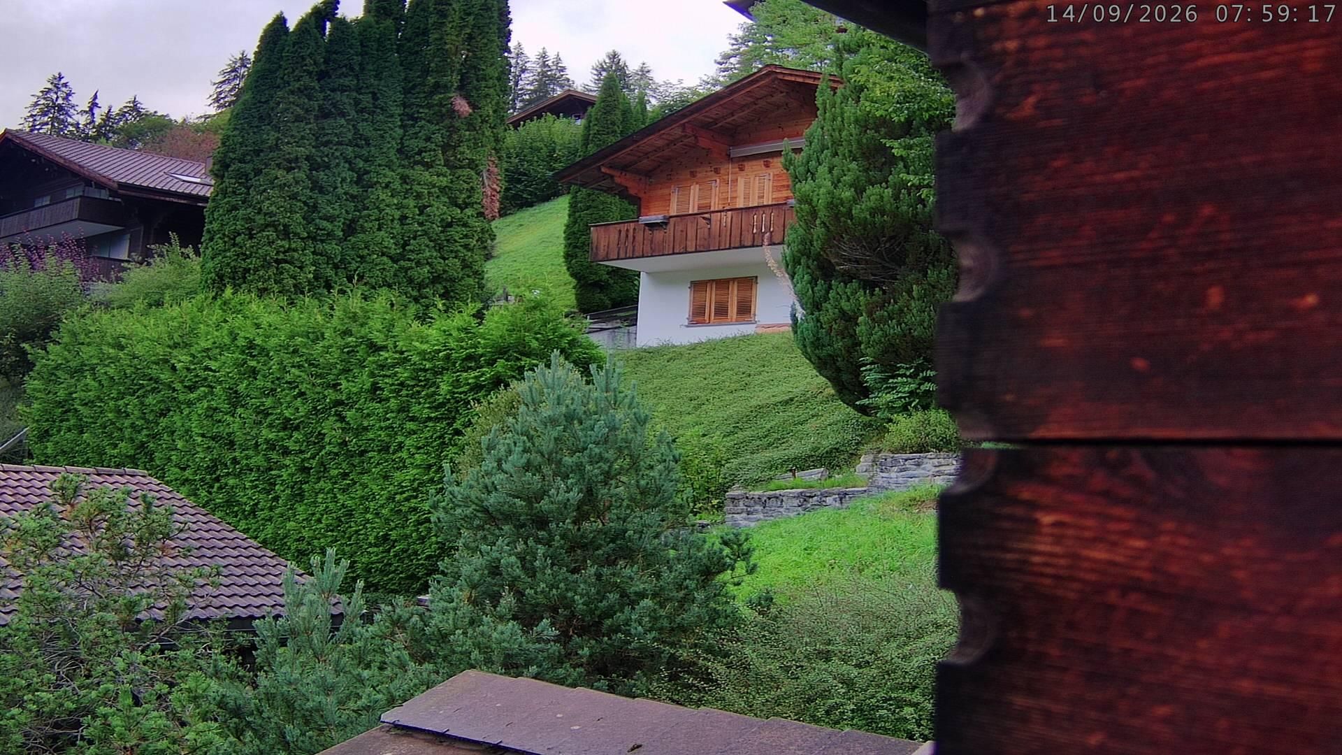 Lenk: i. S. Blick auf Betelberg