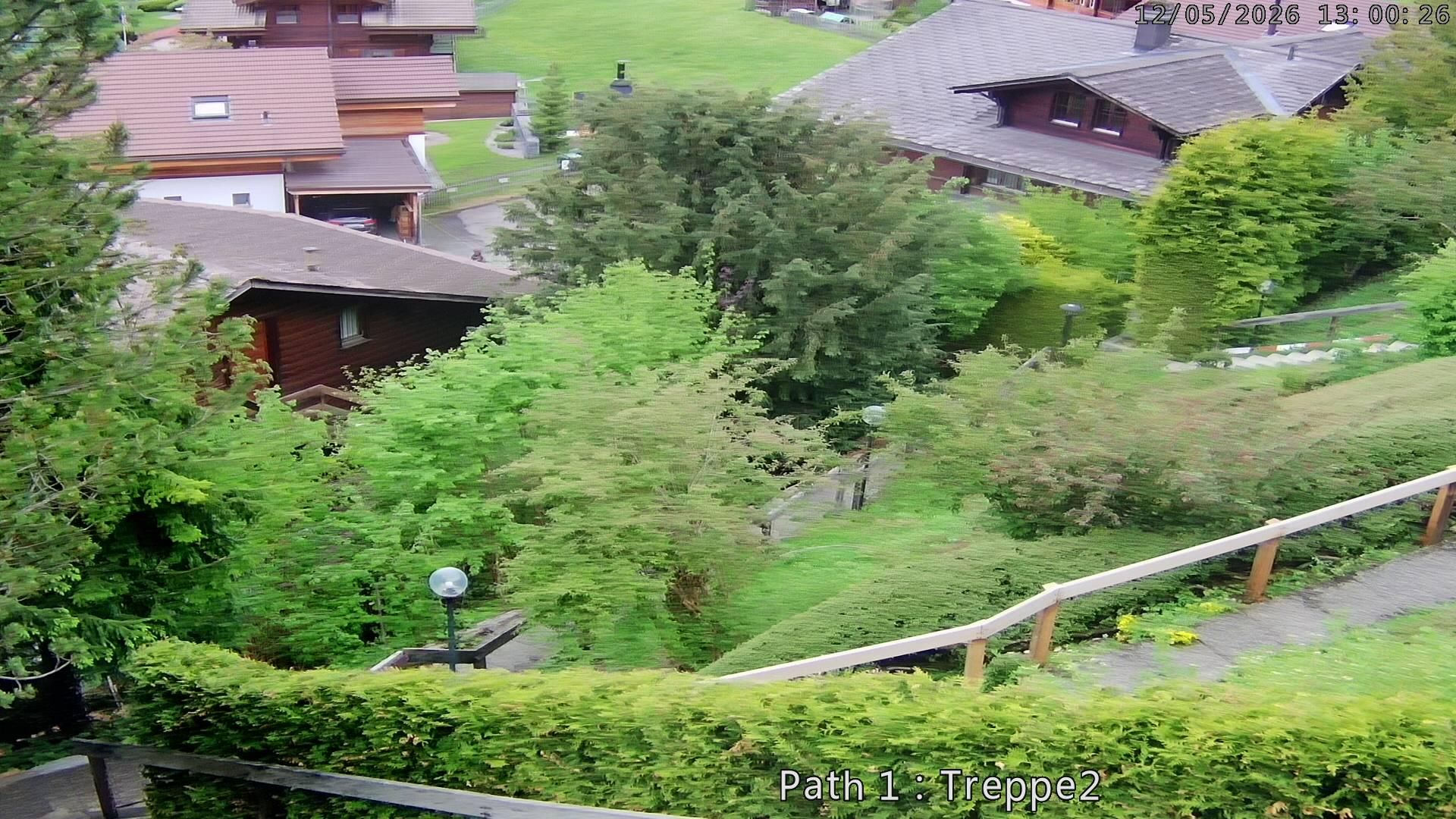 Lenk: i. S. Blick auf Betelberg
