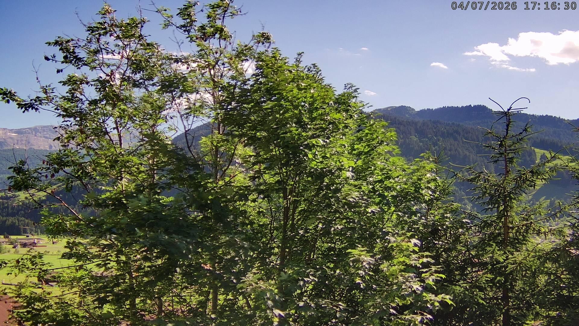 Lenk: i. S. Blick auf Betelberg