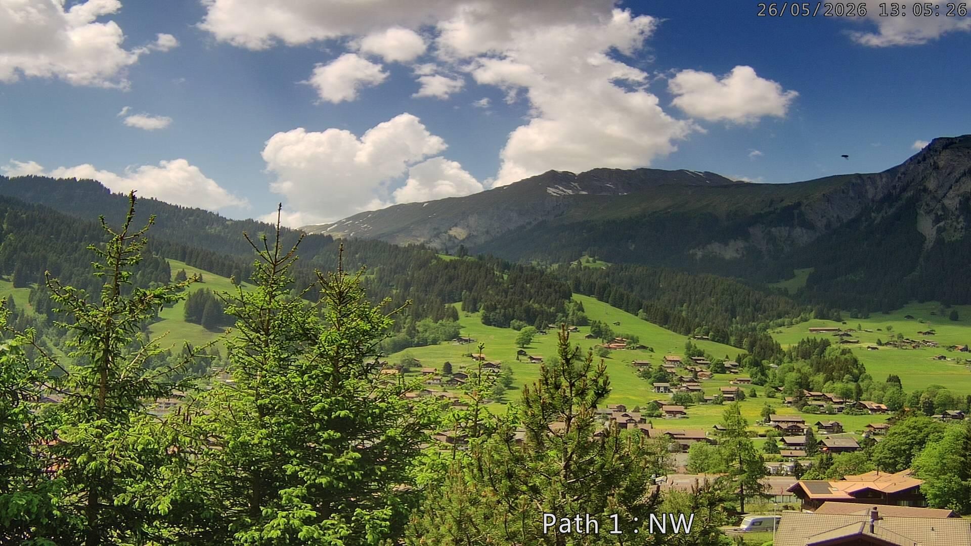 Lenk: i. S. Blick auf Betelberg