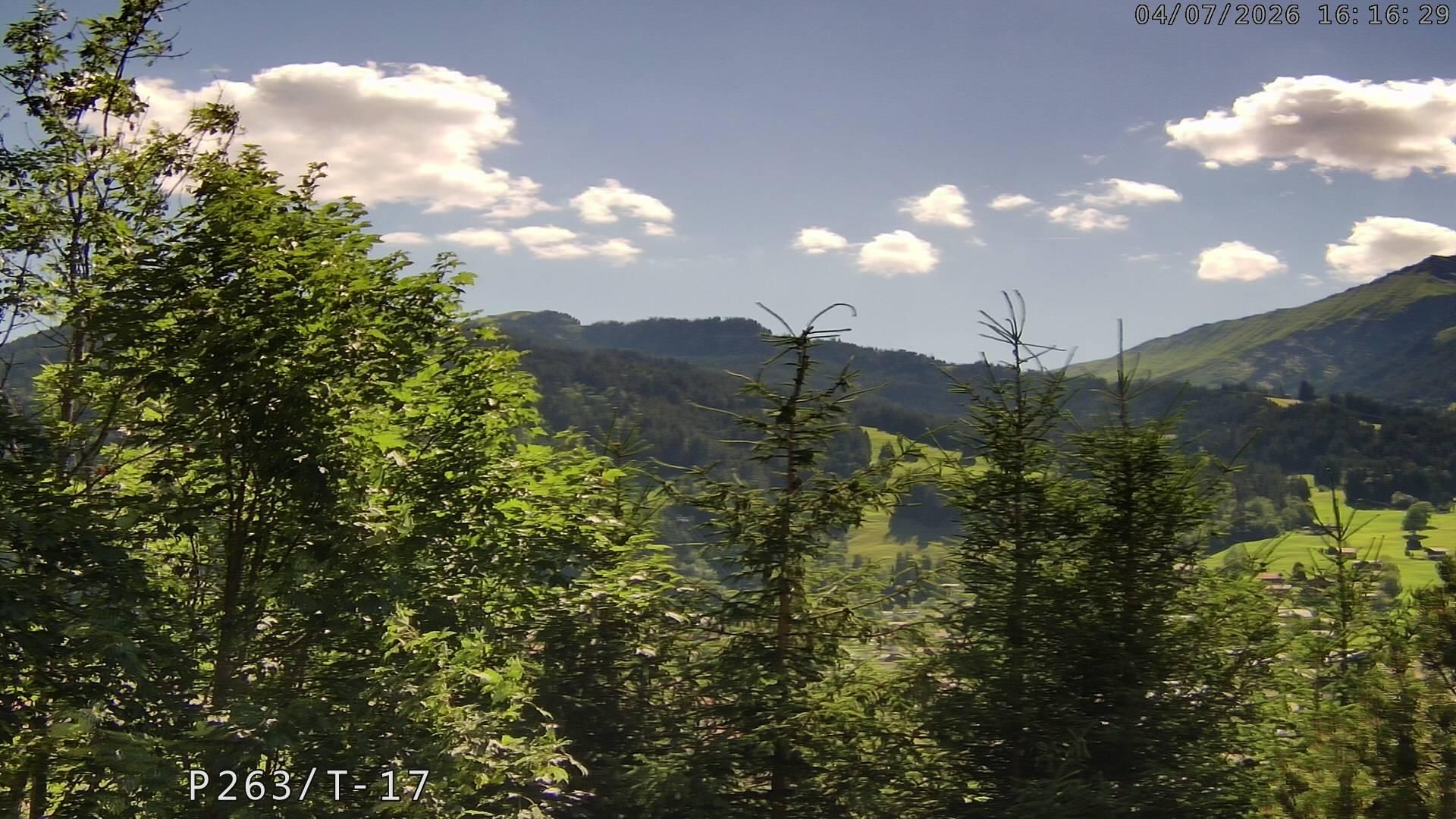 Lenk: i. S. Blick auf Betelberg