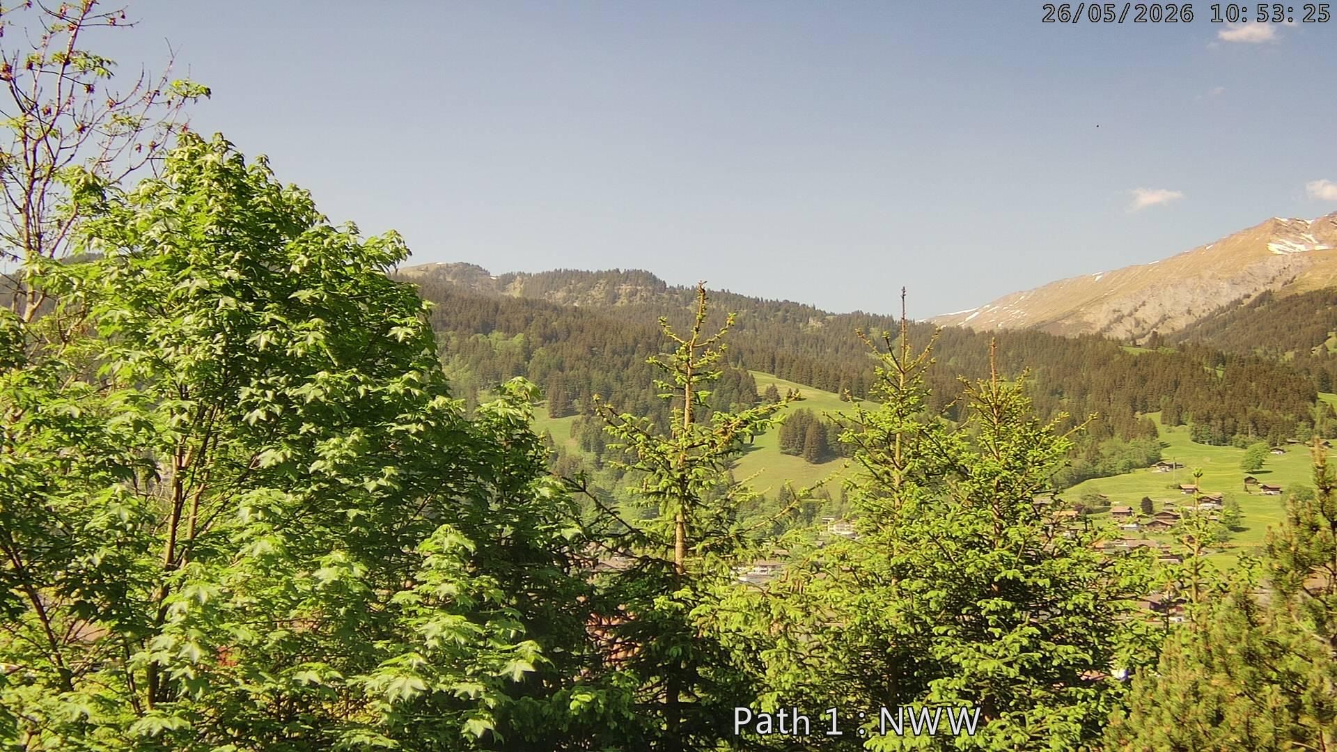 Lenk: i. S. Blick auf Betelberg