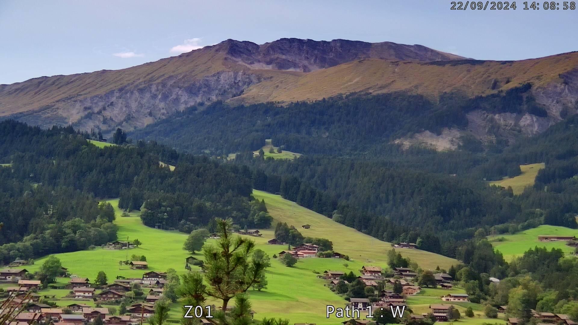 Lenk: i. S. Blick auf Betelberg