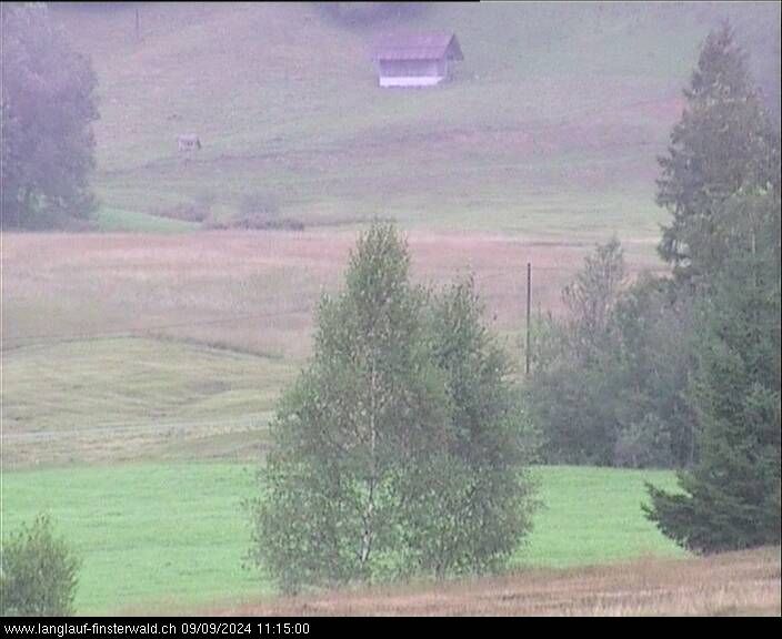 Finsterwald: bei Entlebuch