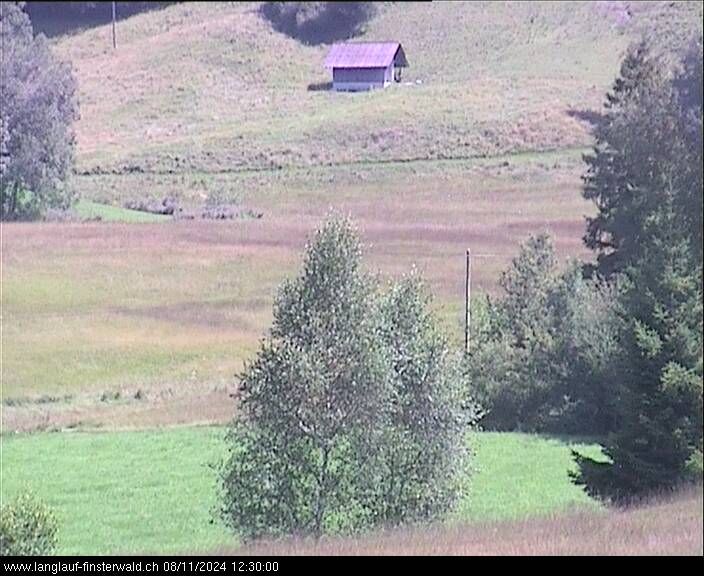 Finsterwald: bei Entlebuch