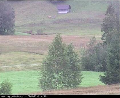 Finsterwald: bei Entlebuch