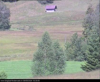 Finsterwald: bei Entlebuch