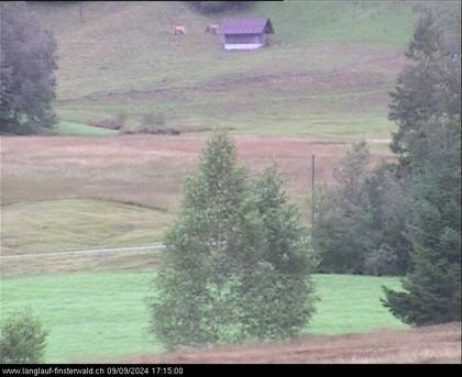 Finsterwald: bei Entlebuch