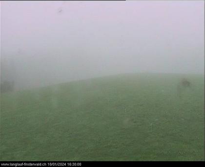 Finsterwald: bei Entlebuch