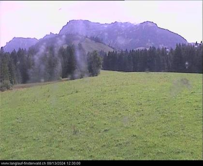 Finsterwald: bei Entlebuch