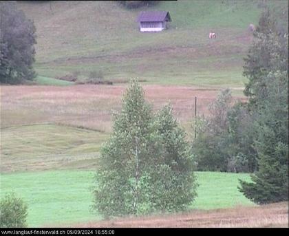 Finsterwald: bei Entlebuch